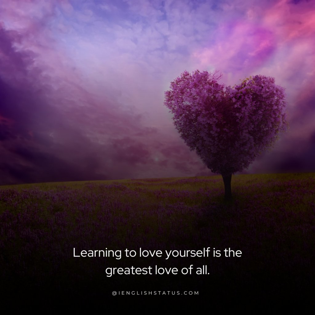 Learn to Love Yourself Quotes