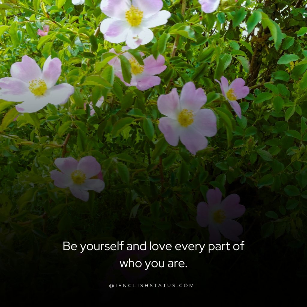 Love Yourself Quotes for Instagram
