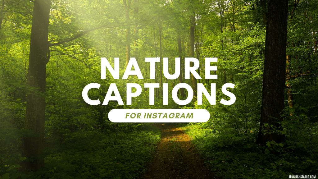 Nature Captions