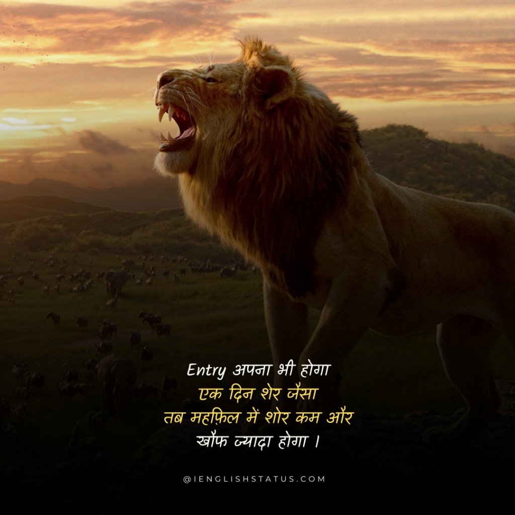 Royal Lion Attitude Status in Hindi