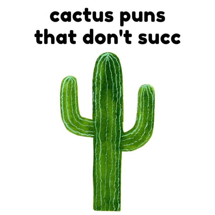 Sharp & Witty Cactus Puns You’ll Succulent Love