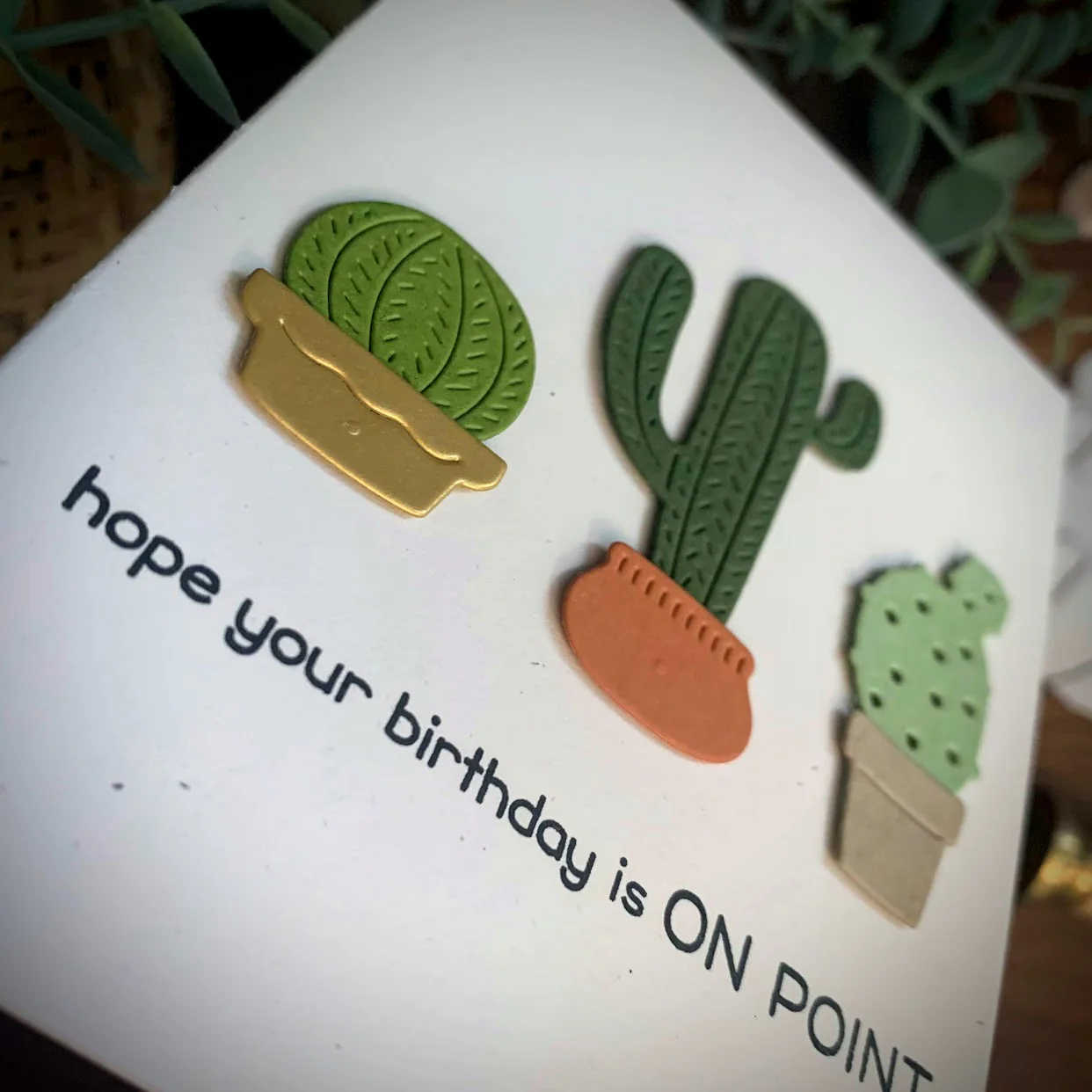Sharp & Witty Cactus Puns You’ll Succulent Love