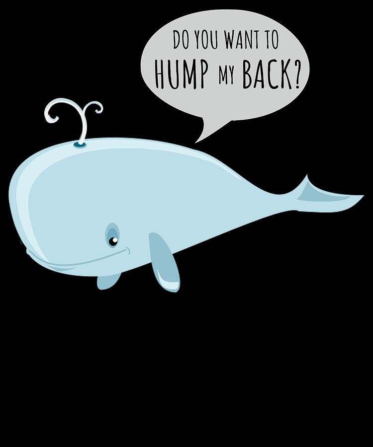 Don’t Be Salty—Enjoy These Whale Puns!