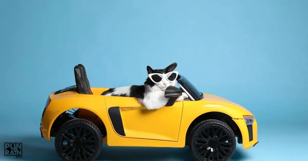 Fuel Your Laughs With These Hilarious Car Puns! Fuel Your Laughs With These Hilarious Car Puns!