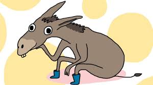 Bray-zingly Good Donkey Puns You Can’t Ignore