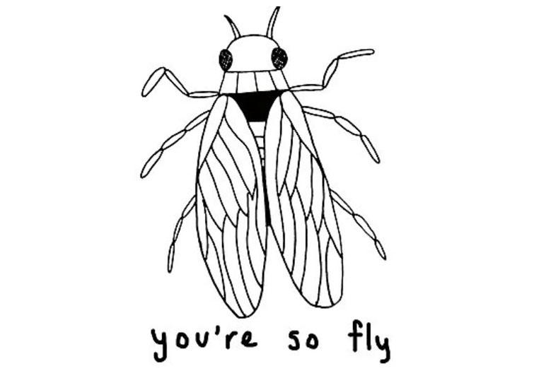 Bug Puns That’ll Have You Rolling—Fr Fr!