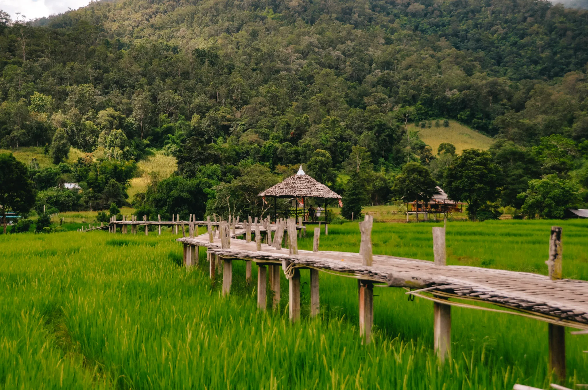 Pai Thailand: The Best Places to Visit and Explore