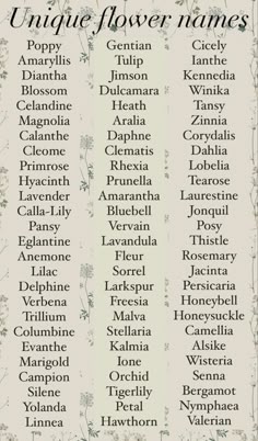 Funny Fake Names That Are Way Too Good to Be Real