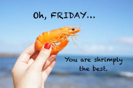 Friday Puns So Good, They’ll Have You Ready for the Weekend!