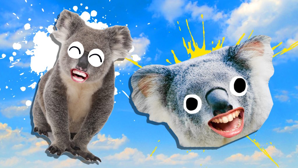Koala-ty Humor: Best Koala Puns for a Good Laugh