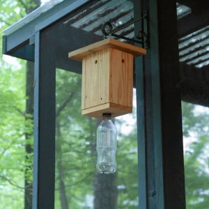 Carpenter Bee Traps