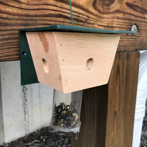Carpenter Bee Traps