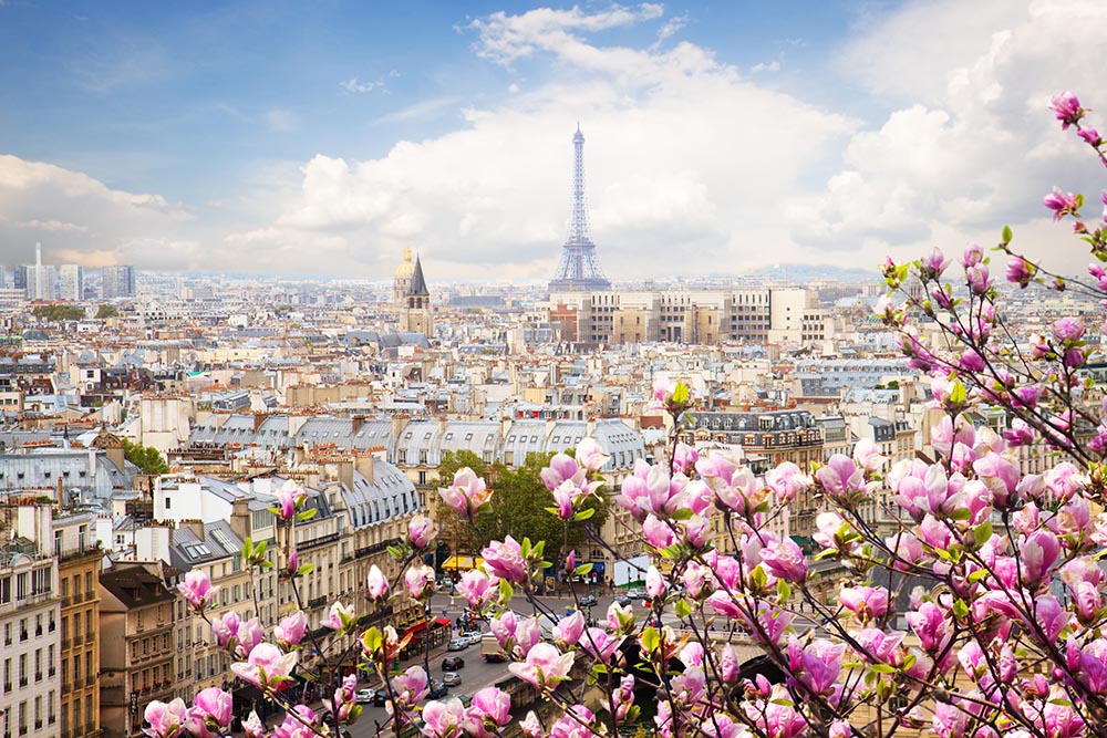 Day Paris Plan: Iconic Sights & Hidden Gems