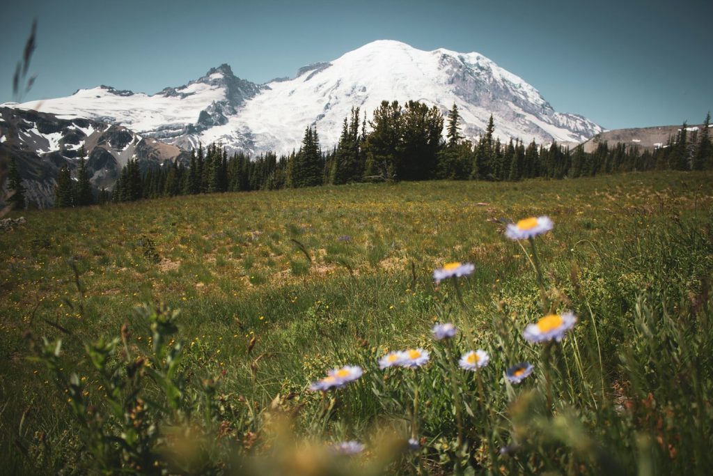 Spring Refresh: Arranging A Massage For Your Corporate Travel Following Winter