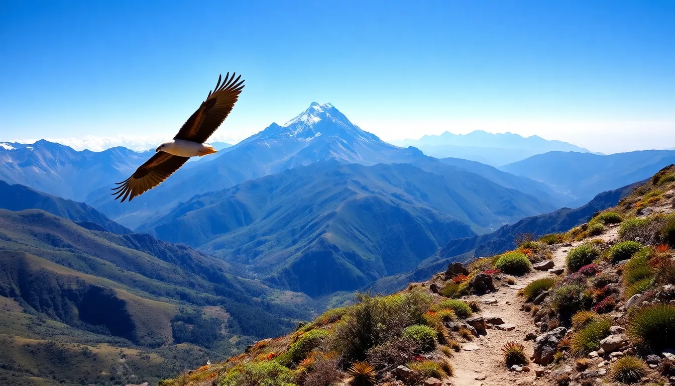 How Wide Are the Jaroconca Mountain – Exact Width Revealed