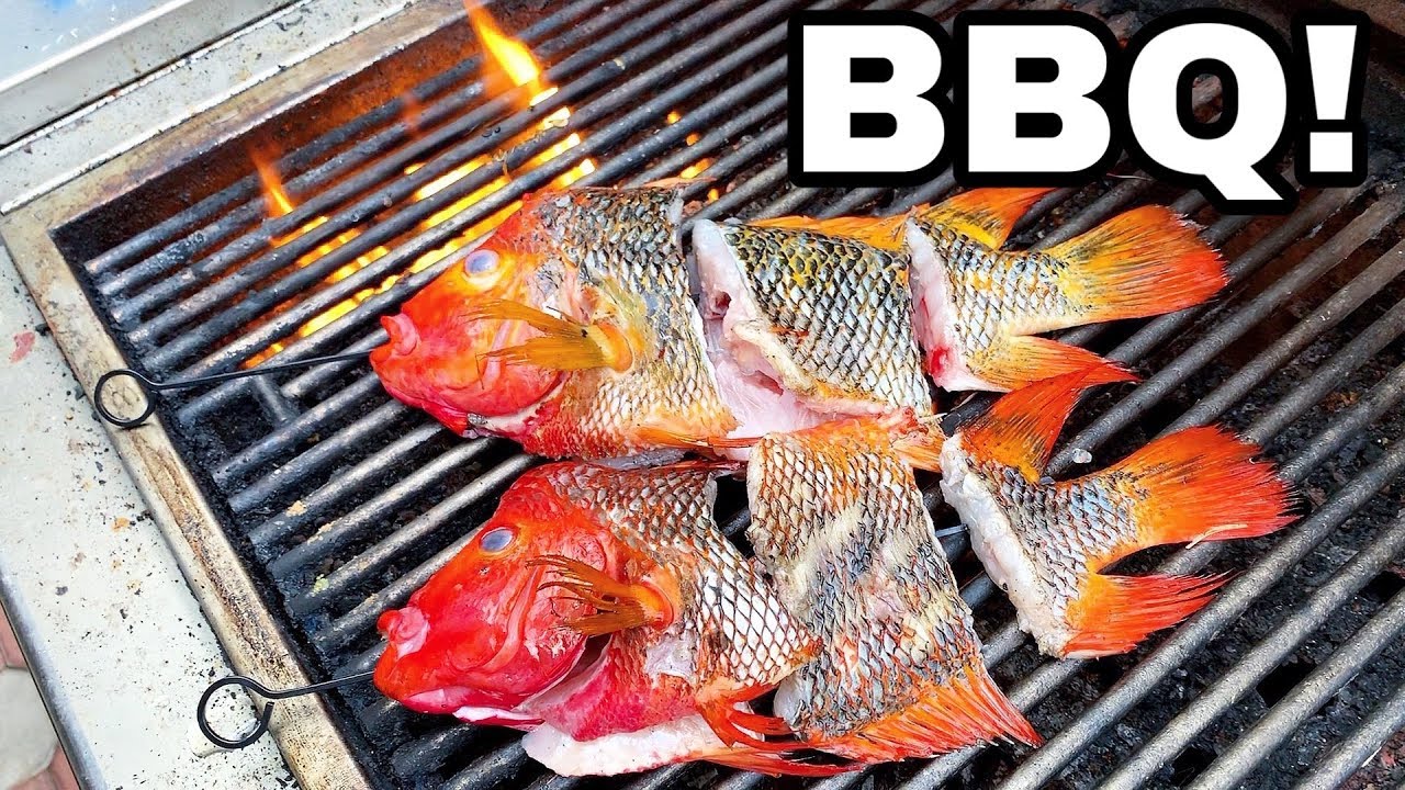 Can Goldfish Be Eaten? Safety, Taste, and Legal Facts