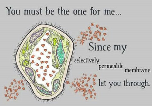 Biology Chat Up Lines: Ignite Romance with Scientific Wit and Charm