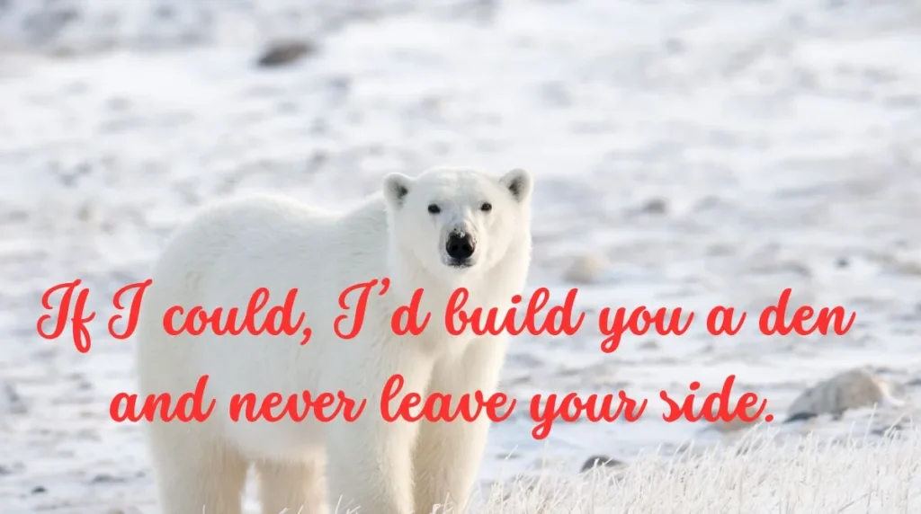 Polar Bear Pick Up Line